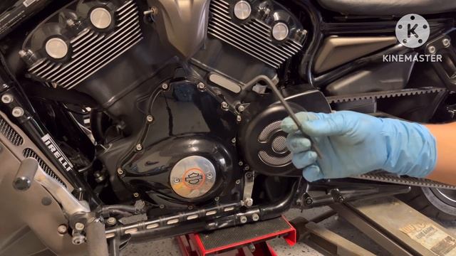 Replace Tires For Harley Davidson V Rod#bike #vrod #motorcycle #harleydavidson #harleys