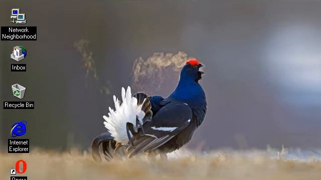 Windows 95 Startup and Shutdown with the Microsoft Bing wallpaper of the day 8th April 2021 смотреть онлайн