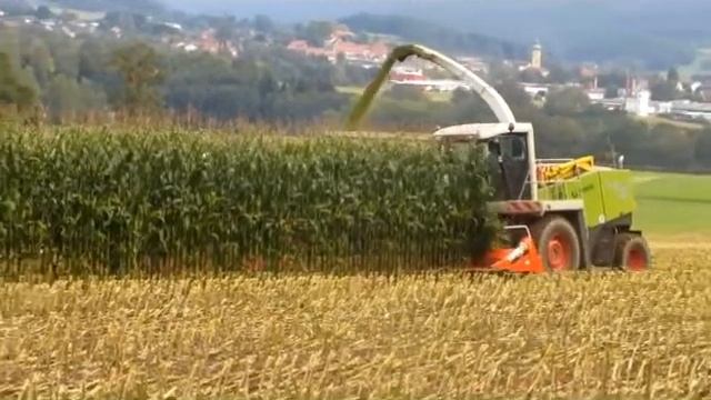 Maishäckseln - Lohnunternehmen Haberl Claas Jaguar 850 смотреть онлайн
