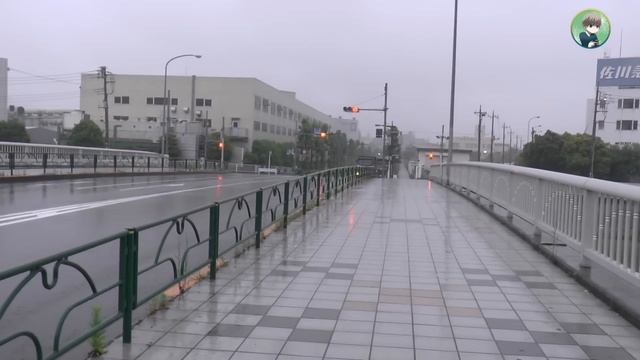 Под Дождем в Японии. Снимаю Видео смотреть онлайн
