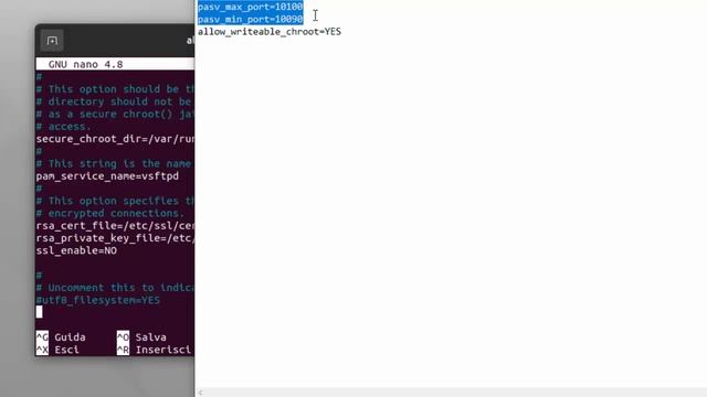 Installazione Server FTP su Ubuntu (Alessandro 3^A Inf 20/21) смотреть онлайн