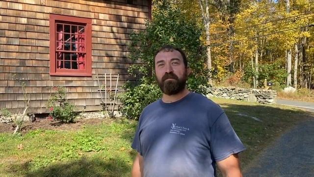 The windows/ siding project continues and adding some trees! смотреть онлайн