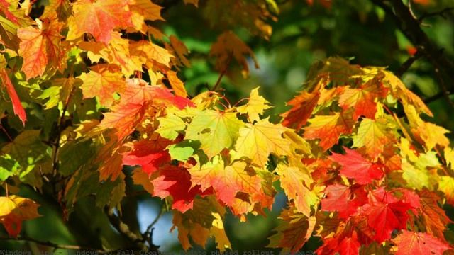 Windows 10 Fall Creators Update phased rollout approach смотреть онлайн