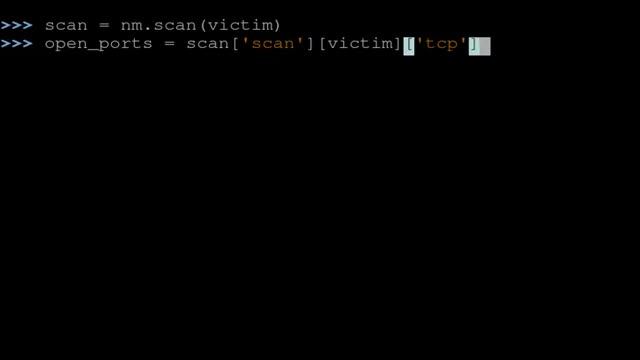 python-nmap demo смотреть онлайн