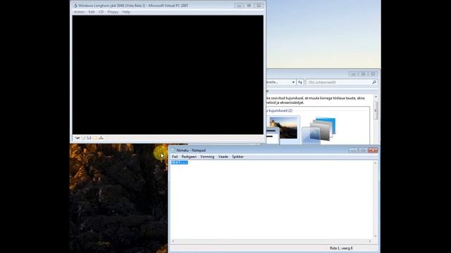 Red Screen of Death Windows Vista beeta versioonis смотреть онлайн