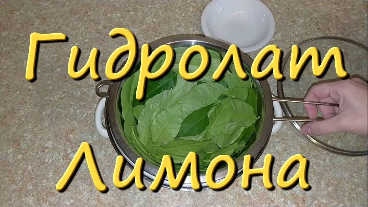Гидролат Для Лица Свойства Лимона Для Кожи Гидролат Домашний