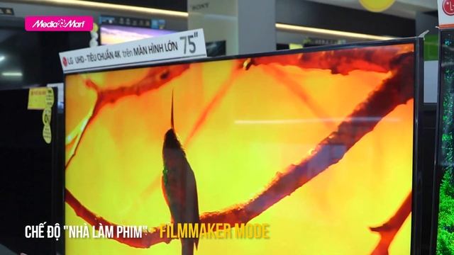 Smart Tivi LG 4K 75 inch ThinQ AI: Hơn cả 1 chiếc Tivi (75UQ8000PSC) - Điện máy MediaMart смотреть онлайн