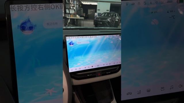 2024 Lynk & Co 06 EM-P 126 Long Battery Life Halo #Lynk&Co06emp