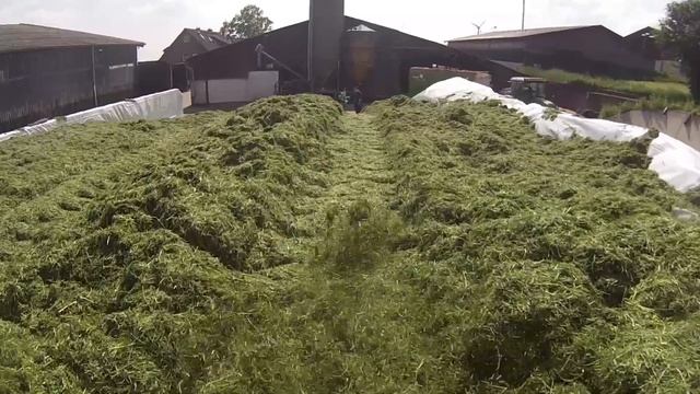 1. Schnitt Grassilage mit Claas Jaguar 900 + Fendt [LU Kausemann] смотреть онлайн