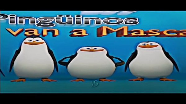 Los Pinguinos Me La Van A Mascar