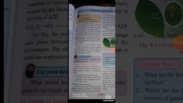 12 th Science ( Respiration & Circulation ) смотреть онлайн