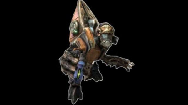 Halo Wiki Унггои(хрюки)