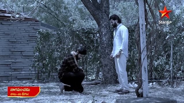 NagaPanchami - Promo | 2nd Apr 2024 | Star Maa Serials | Mon-Sat at 6 pm | Star Maa смотреть онлайн