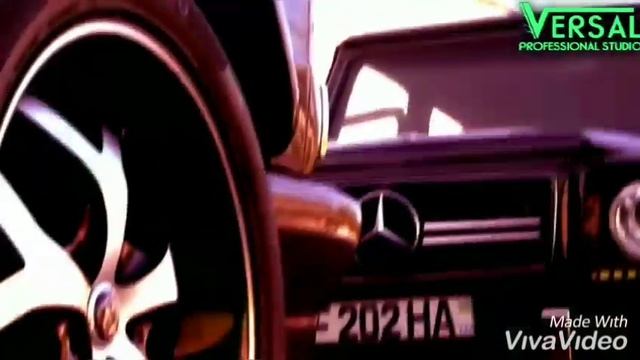 Uzbek Kartej_(uzbek Zaks)Cobalt,ravon