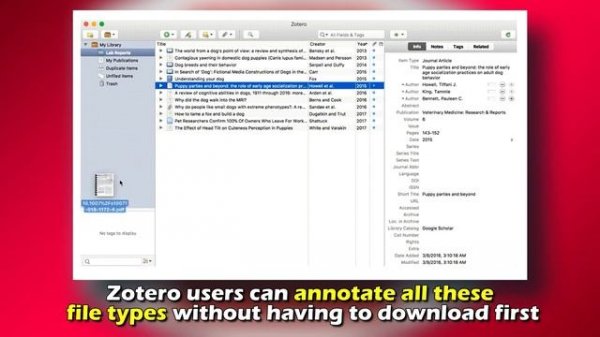 Zotero vs Mendeley - What Are the Differences? (A Side-by-Side Comparison)