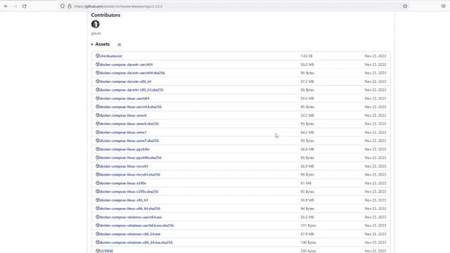 Как установить Docker Compose на Debian? [FastHowTo] смотреть онлайн
