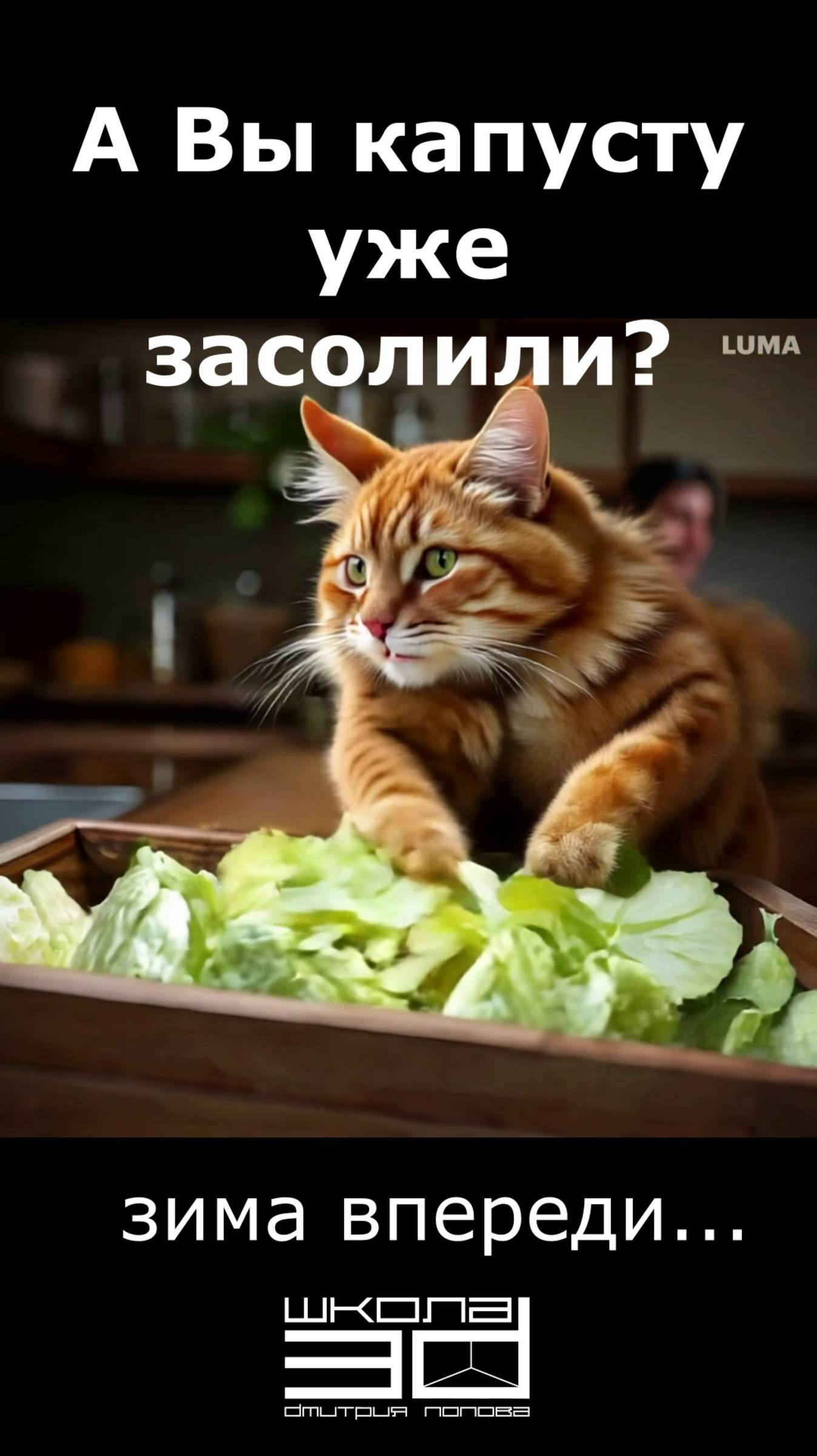 Кот солит капусту смотреть онлайн