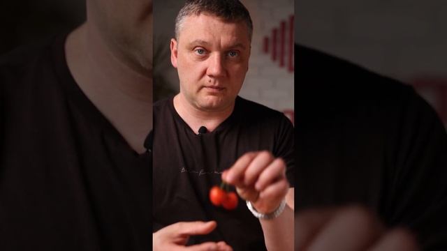 Черешня розовая Узбекистан ~500г смотреть онлайн