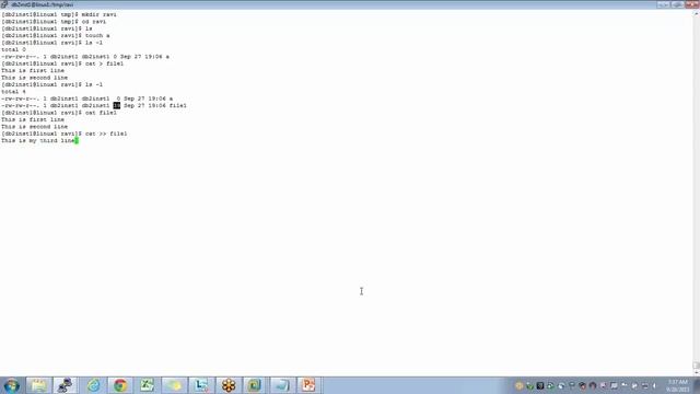 Unix/Linux Basics: 12 cat command смотреть онлайн