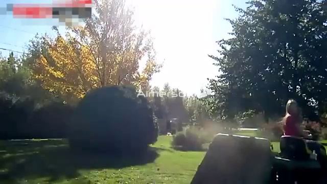 Начинающие трактористки смотреть онлайн