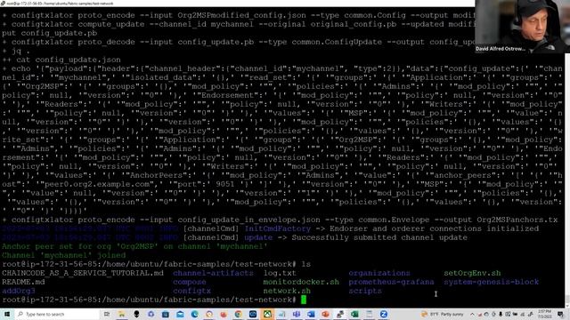 Hyperledger Fabric 2.5 Testnet Golang tutorial / demo on AWS EC2 смотреть онлайн