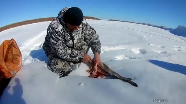 Рыбачим, охотимся, готовим...