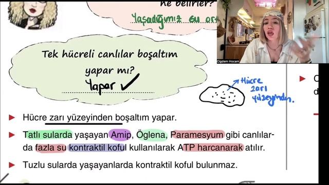 CANLILARIN ORTAK ÖZELLİKLERİ-BOŞALTIM-HAREKET-UYARILARA TEPKİ смотреть онлайн
