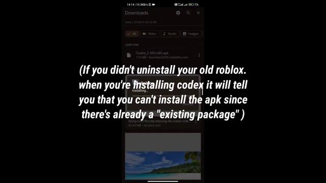How To Download Codex Executor On Android! | [Aug 2023] FULL TUTORIAL 100% WORKING!