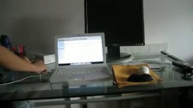 Apple Mini DVI to DVI Adapter смотреть онлайн