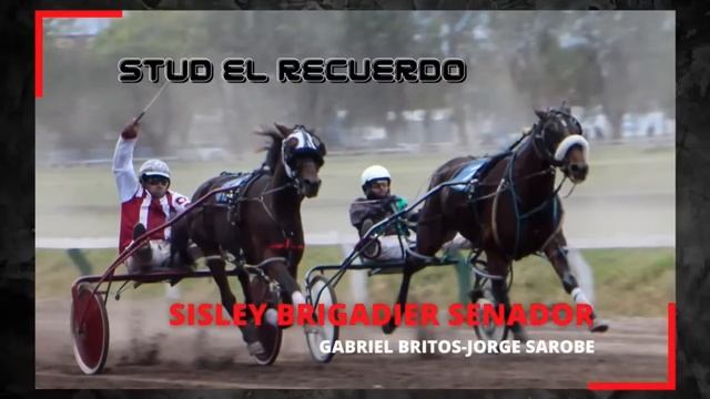 HIPODROMO DE LINCOLN 23ª REUNION- GPN 3 AÑOS. смотреть онлайн