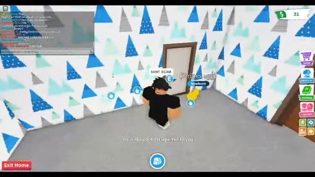 This Person Scammed me смотреть онлайн