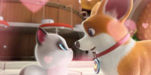 Корги по имени Моко. Домашние животные 2, 60 серия. Орел или решка