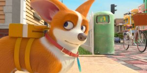 Корги по имени Моко. Простые истории, 27 серия. Договор с гарантией 