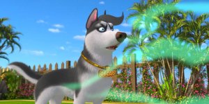 Корги по имени Моко. Домашние животные 2, 34 серия. Кошачья мята