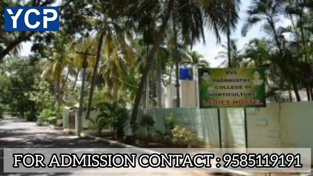 RVS Padmavathy College of Horticulture Course Details in Tamil смотреть онлайн