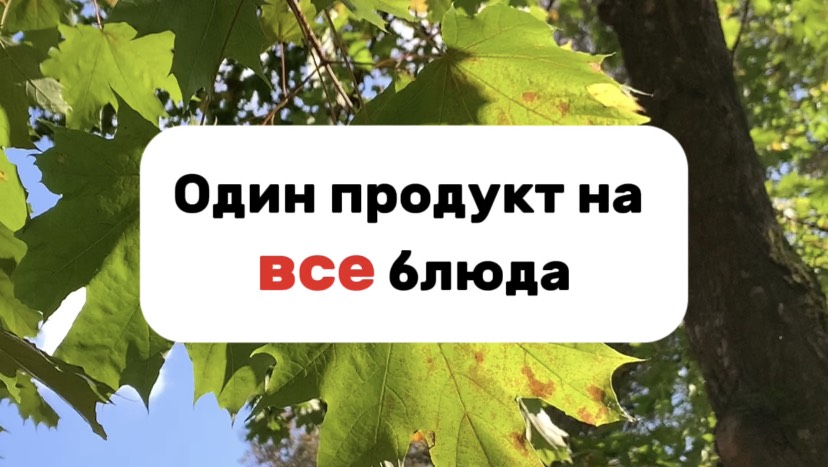 Как разнообразить рацион питания осенью? Https://vk.com/info.med.alsu