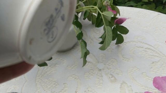 Антиквариат. Винтаж. Фарфор СССР. Шиповничек. смотреть онлайн