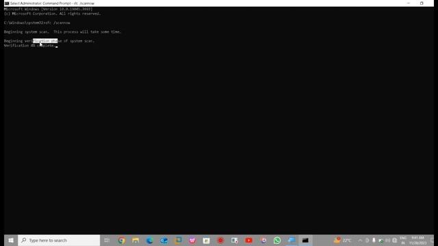 How To Microsoft Store Not Downloading Apps Windows 11/10 смотреть онлайн