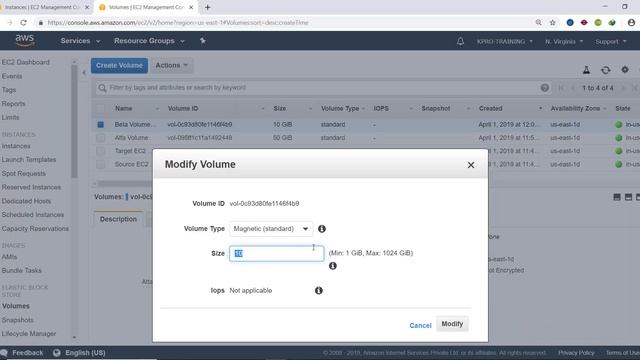 13. AWS EBS Volume resize at Linux / Unix level смотреть онлайн