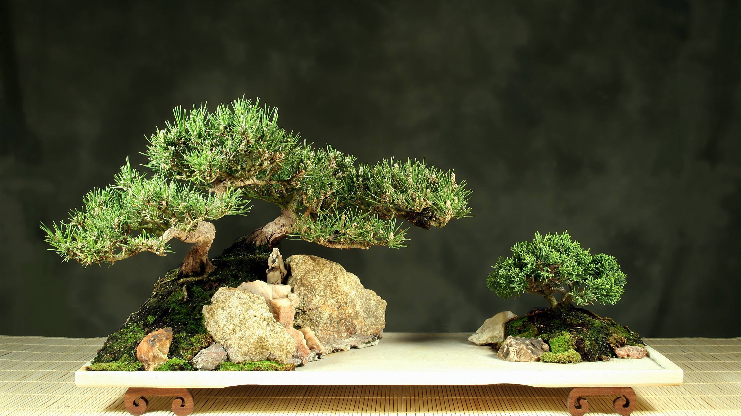 Особенности пайплайнов в Google и Amazon (How Amazon and Google view CI/CD in an entirely different смотреть онлайн