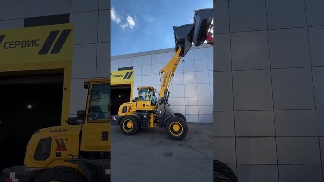 Какой выберешь ты? 1, 2 или 3? #погрузчик смотреть онлайн