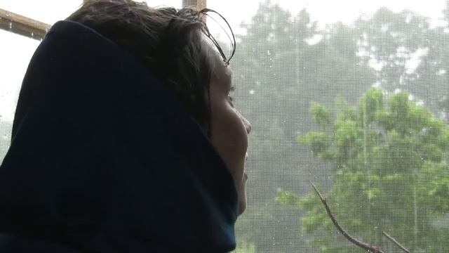 Girl looks out of the window- on her lips an easy smile and behind the window a rain смотреть онлайн