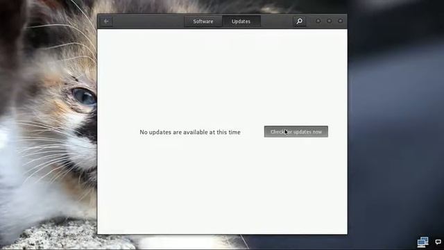 Evolve OS Beta 1.1 Video Tour смотреть онлайн