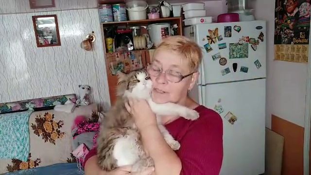 Поехала к детям // Обзор магазина // Мы снова дома // смотреть онлайн