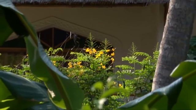 Apartments in Zanzibar смотреть онлайн