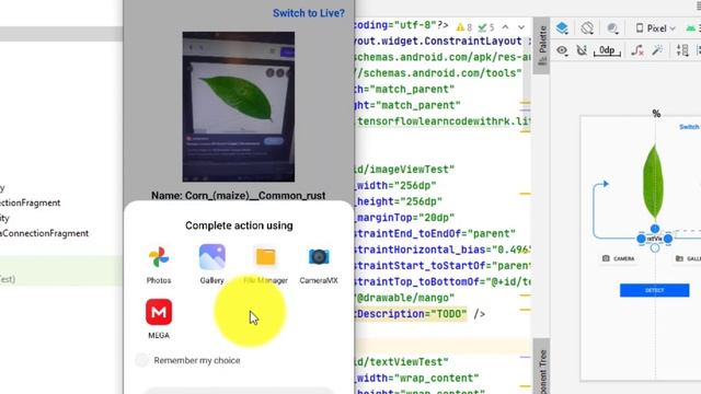 image classification | Plant Disease Detection android app | machine learning app | ml android смотреть онлайн