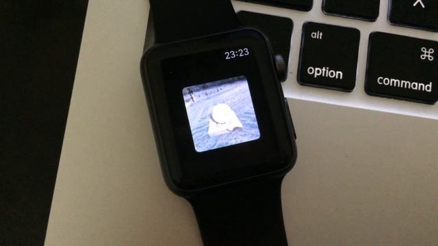 Apple Watch running a Ray Tracer смотреть онлайн