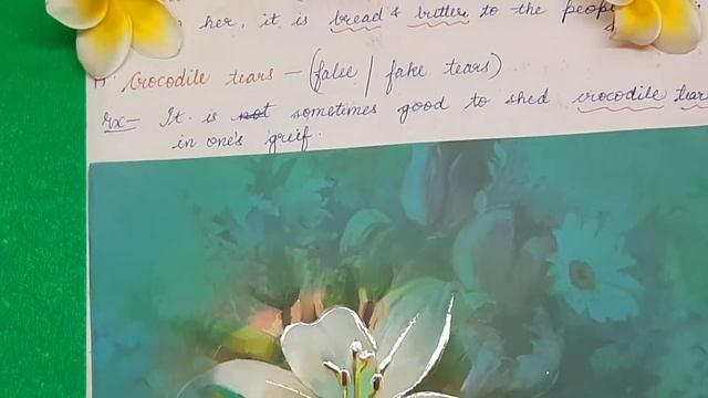 25 most common Idioms you should know | Advanced vocabulary | with meaning and examples | смотреть онлайн