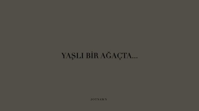 Sibylle Baier - I Lost Something in the Hills | Türkçe Çeviri смотреть онлайн
