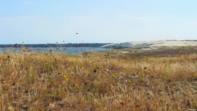 On top of dunes on a windy summer day. Sound of wind, no music, 4K video смотреть онлайн